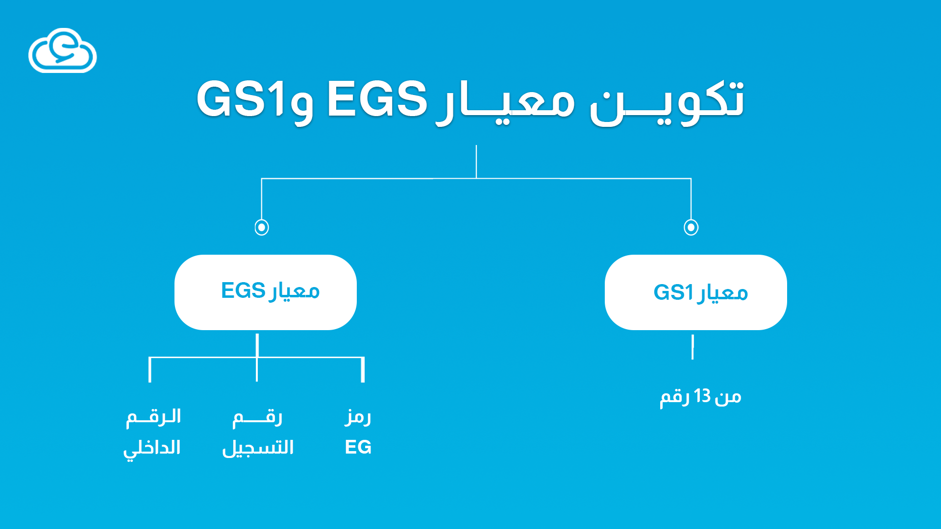تكوين معيار EGS وGS1