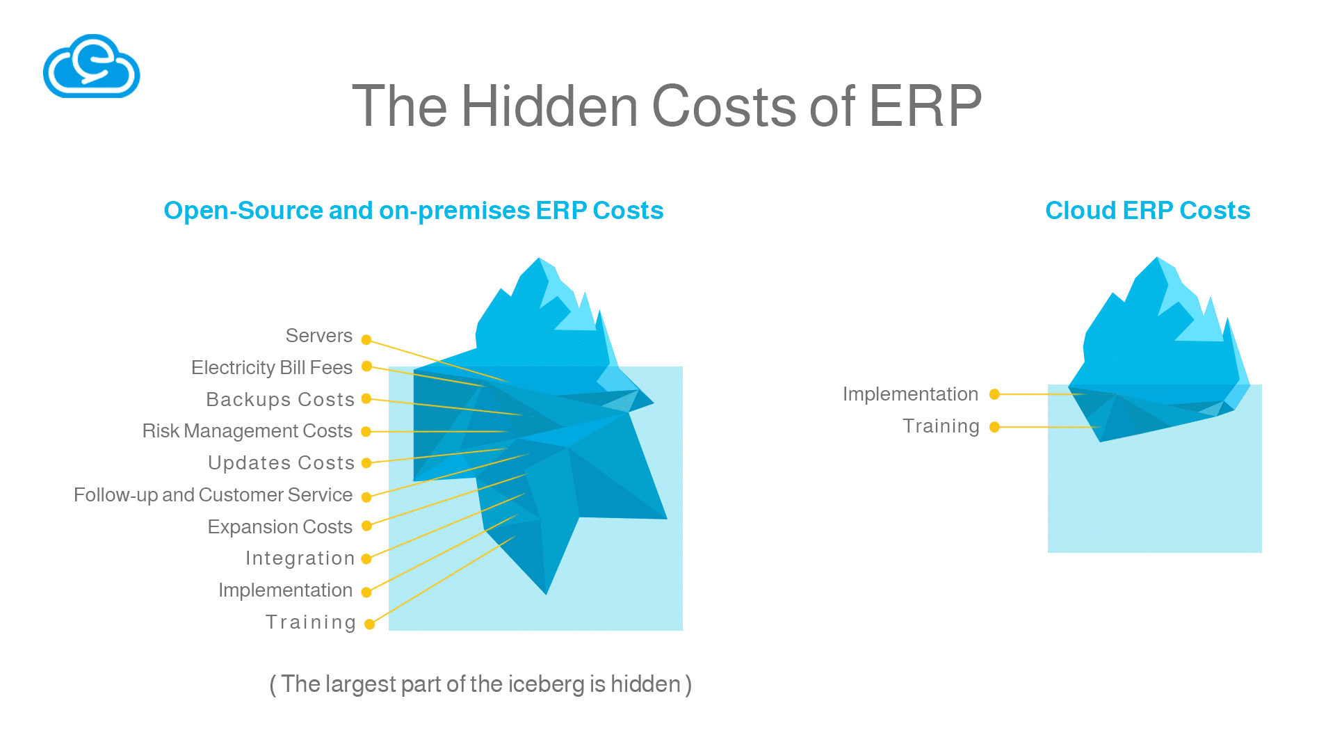 The Hidden Costs of ERP